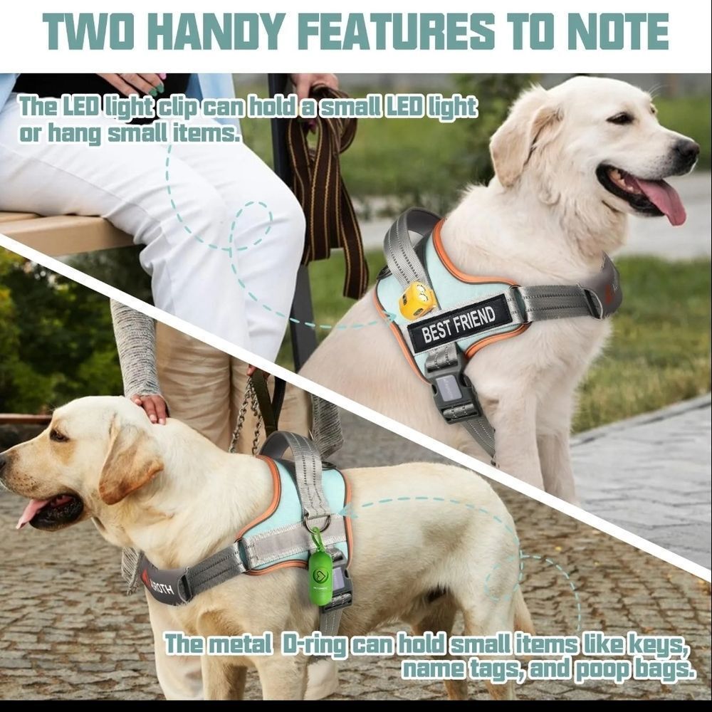 Dog Harness Set - Picture 2 of 11